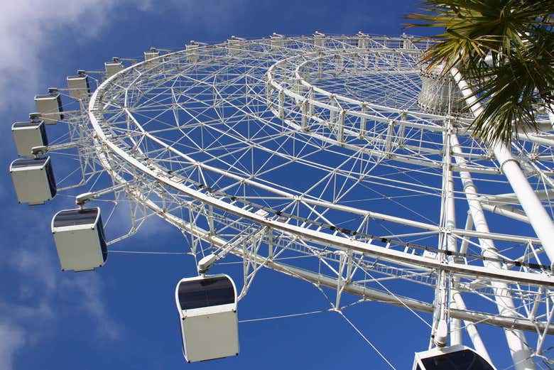 ICON Orlando 360