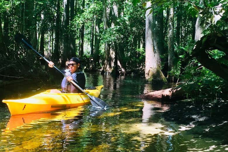 Shingle Creek Kayak Tour from Orlando - Book at Civitatis.com