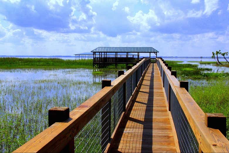 Le Everglades