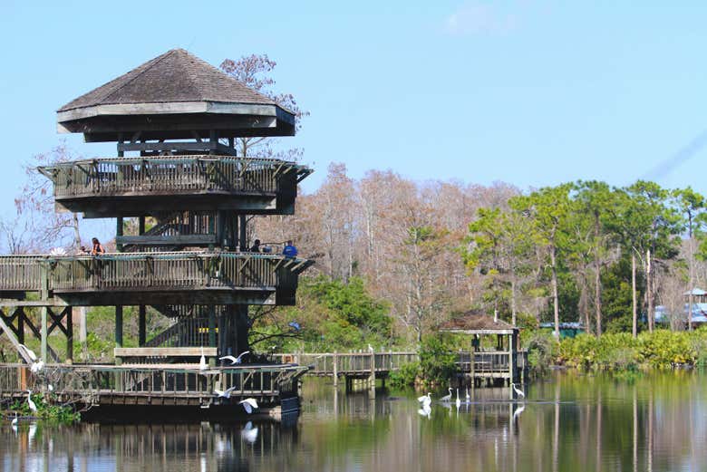 Observation Tower de Gatorland