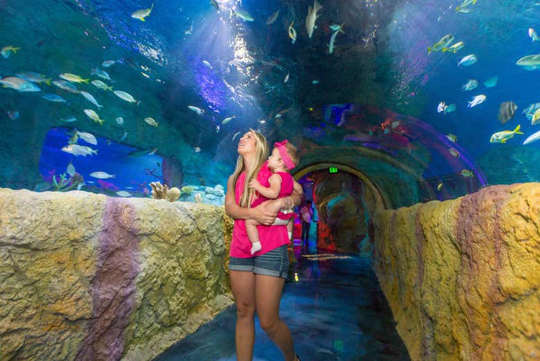 SEA LIFE Orlando