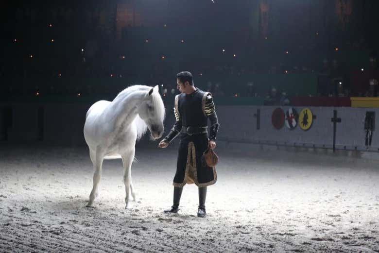 Horse riding forms part of our spectacular show!