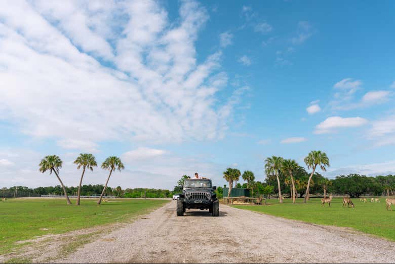Recorriendo el parque con vuestro propio coche