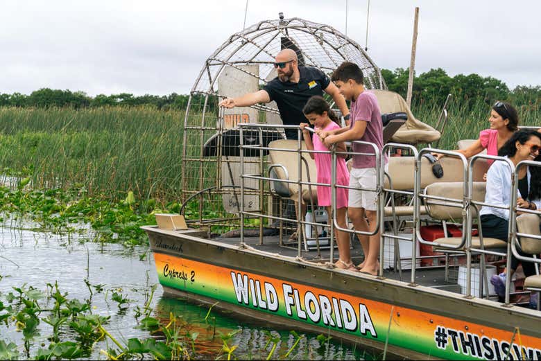Discover the ecosystem of the Everglades