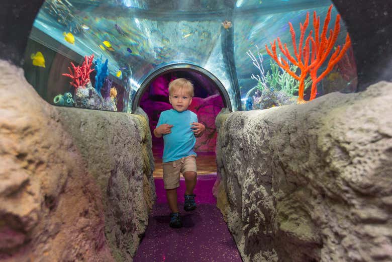 Túnel no SEA LIFE Orlando