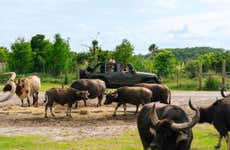 Safári no Wild Florida Adventure Park