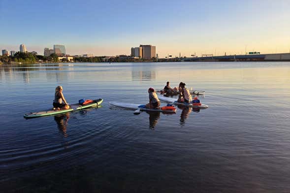 Transparent Kayak or Paddle Board Tour
