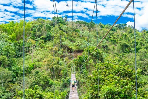 Immersion dans la jungle d'Orocovis