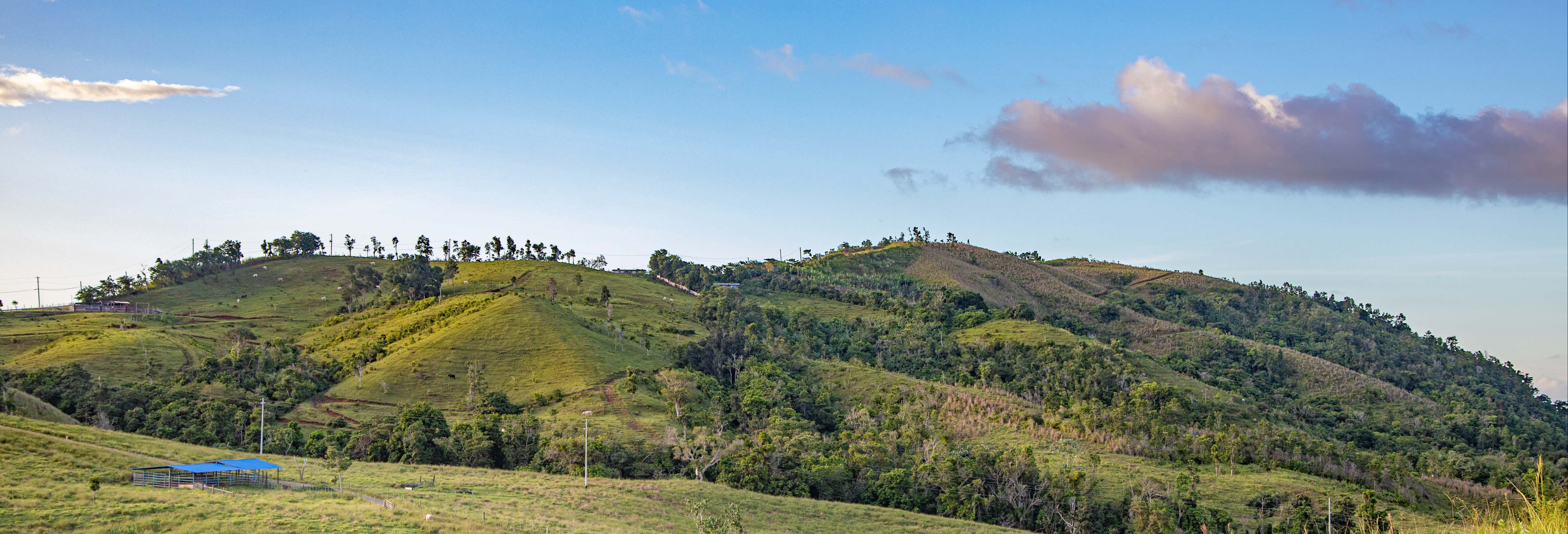 Ziplining in Orocovis