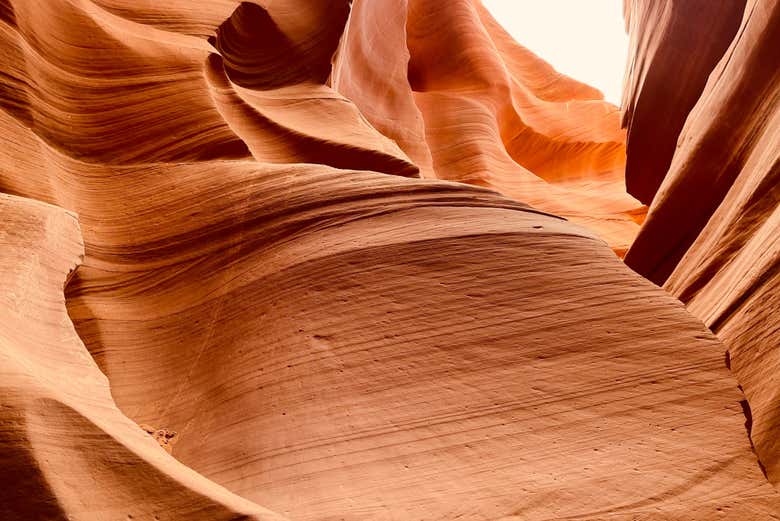 El diseño caprichoso del cañón Deer