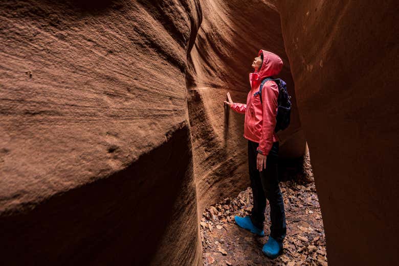 Contemplando las paredes ocres de Deer