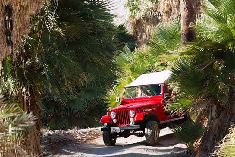 Pendant le trajet en 4x4