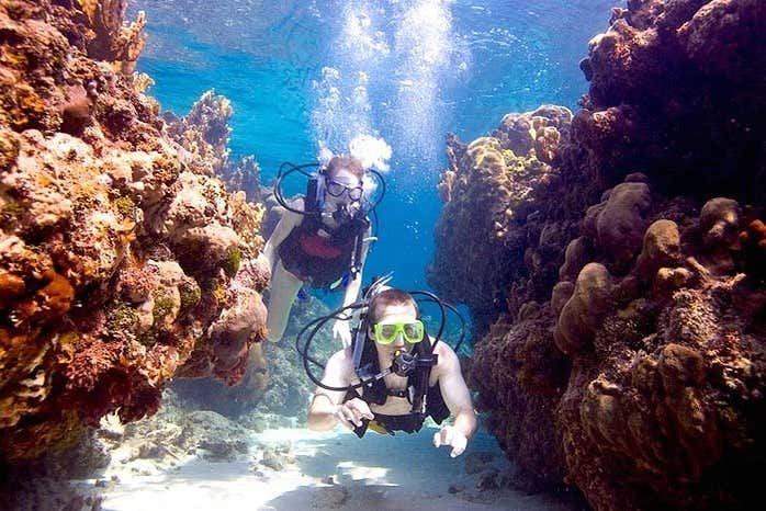 Scuba diving along marine coral reefs
