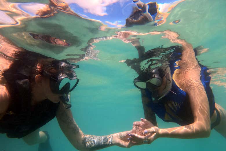 Snorkel with your friends at Panama City Beach!