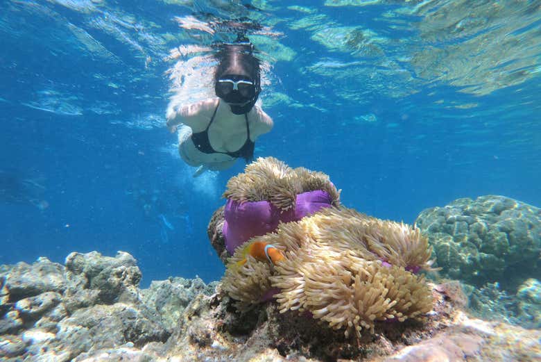 Swim along the seabed of Panama City Beach