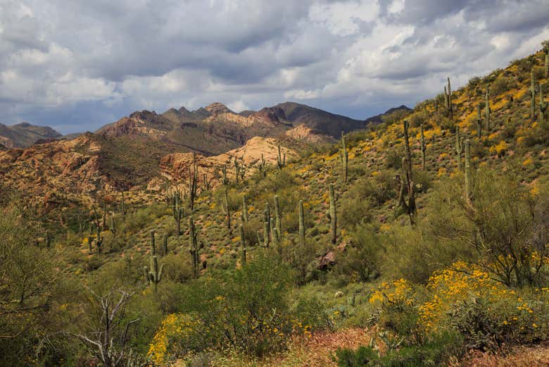 Bulldog Canyon