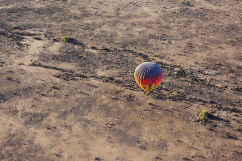 Sobrevoando o deserto de Sonora