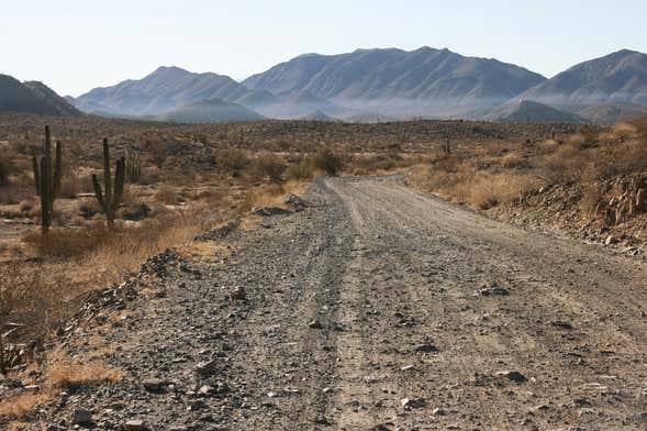Tour del deserto di Sonora in jeep