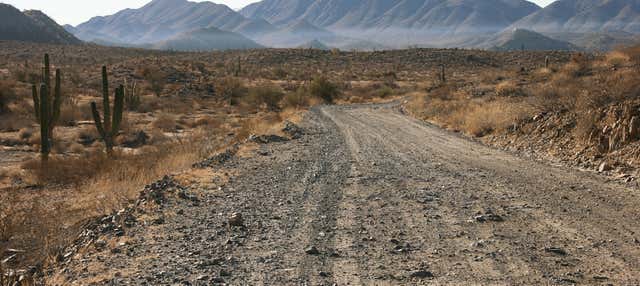 Tour de 4x4 pelo deserto de Sonora