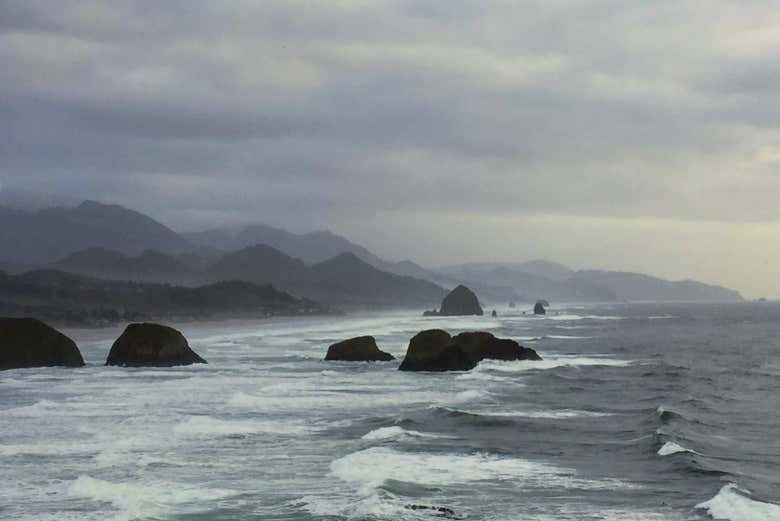 Il bosco fantasma di Neskowin