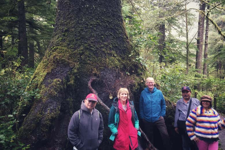 Gruppo di turisti nel bosco di abeti di Sitka