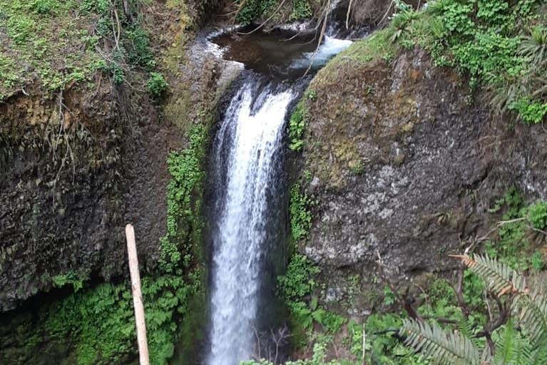 Recorreremos las cataratas de Portland