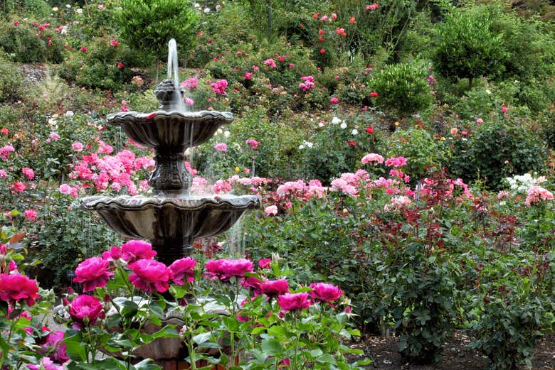Fontana nell'International Rose Test Gardens