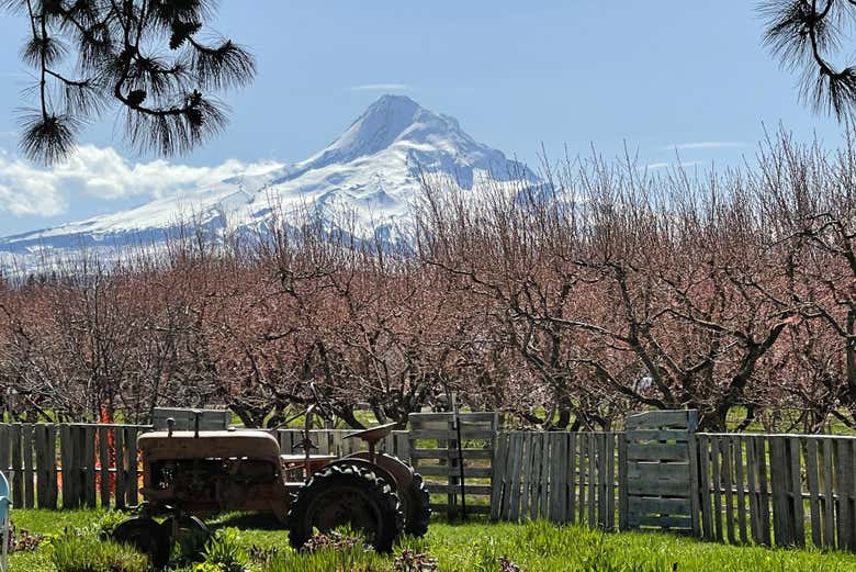 Uma fazenda em Mount Hood