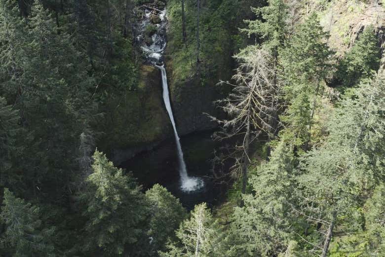 Vous verrez des paysages magnifiques