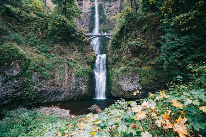 Panorámica de las cataratas Multnomah
