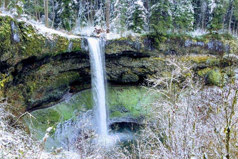 Vista de South Falls en invierno