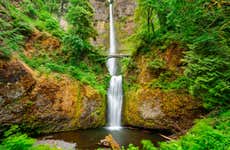Visite du fleuve Columbia et des chutes de Multnomah