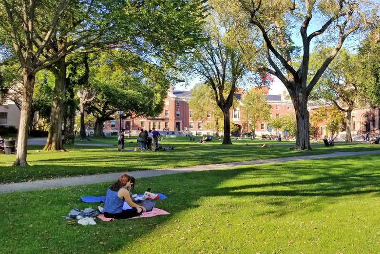 Passeando pelo campus da Universidade de Brown