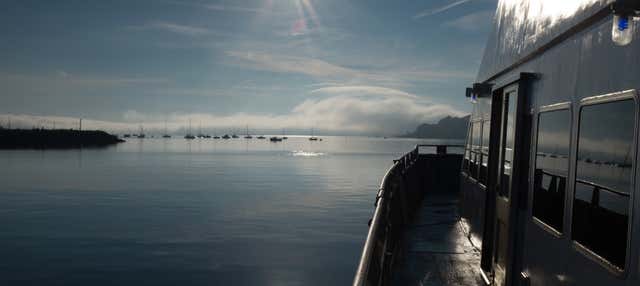 Ferry to Boston