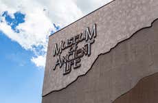 365 Day Connect Pass