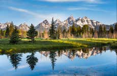 Circuit de 4 jours à Yellowstowne et Grand Teton