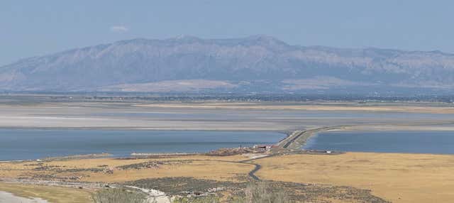Excursion à Antelope Island