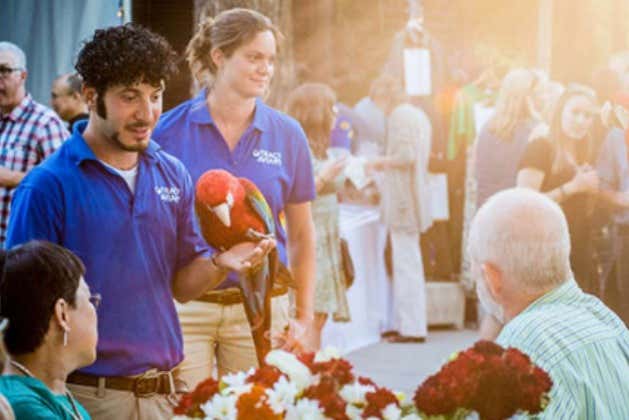 365 Day Connect Pass 