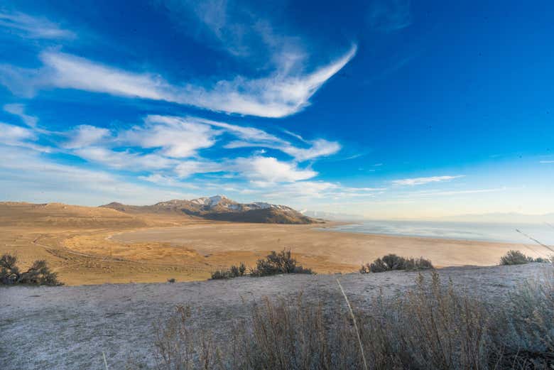 Profitez des paysages somptueux d'Antelope Island