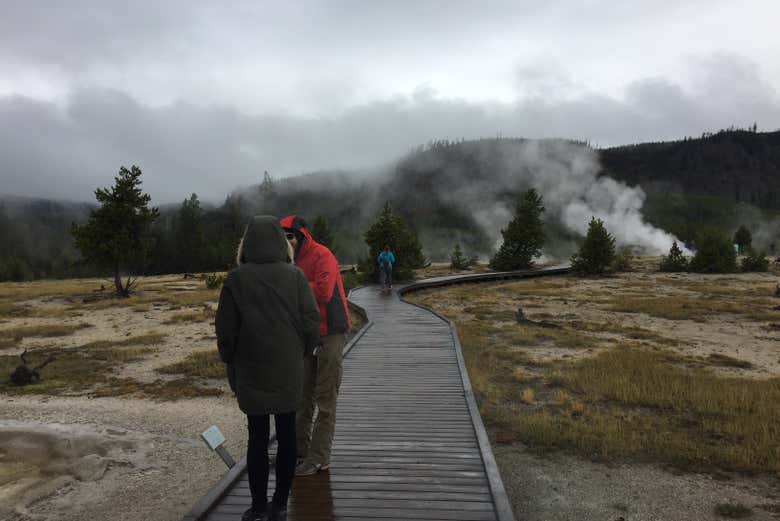 Explorer le parc national de Yellowstone