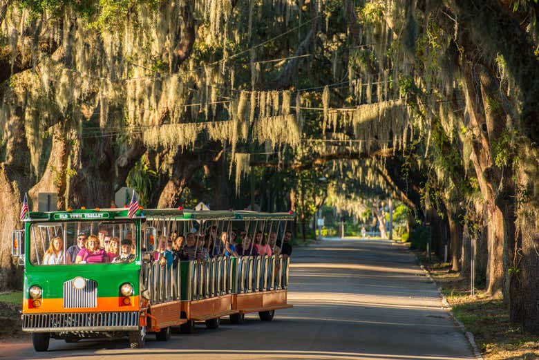Explorando San Agustín