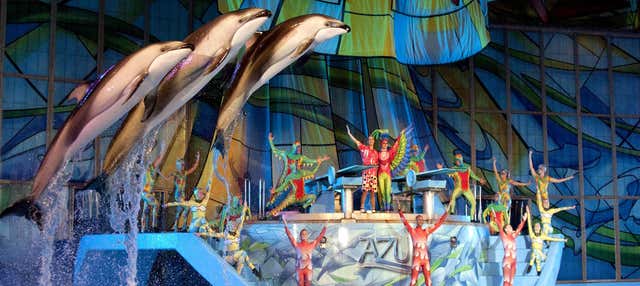 Ingresso do SeaWorld e Aquatica San Antonio