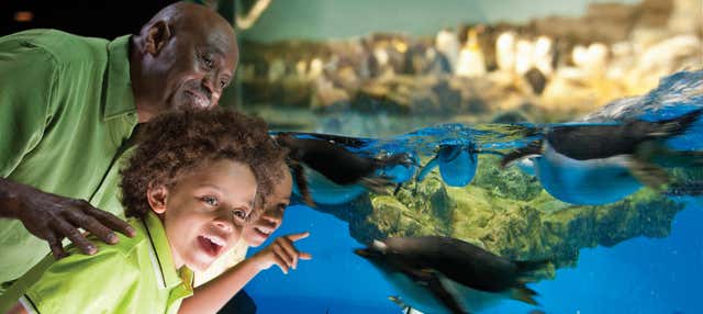 Entrada a SeaWorld San Antonio