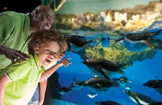 Biglietti per SeaWorld San Antonio