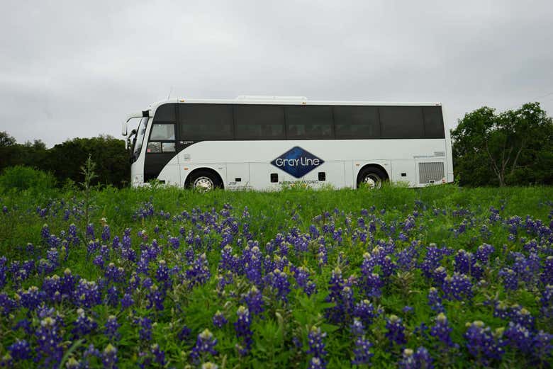L'autobus del tour