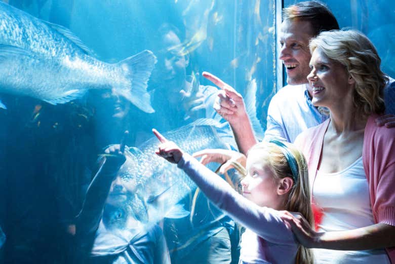 Una giornata in famiglia al SeaWorld San Antonio