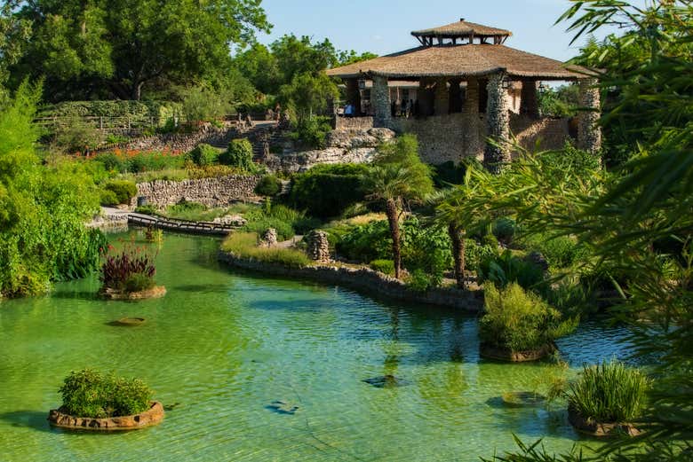 Stroll through the tranquil Japanese Tea Garden