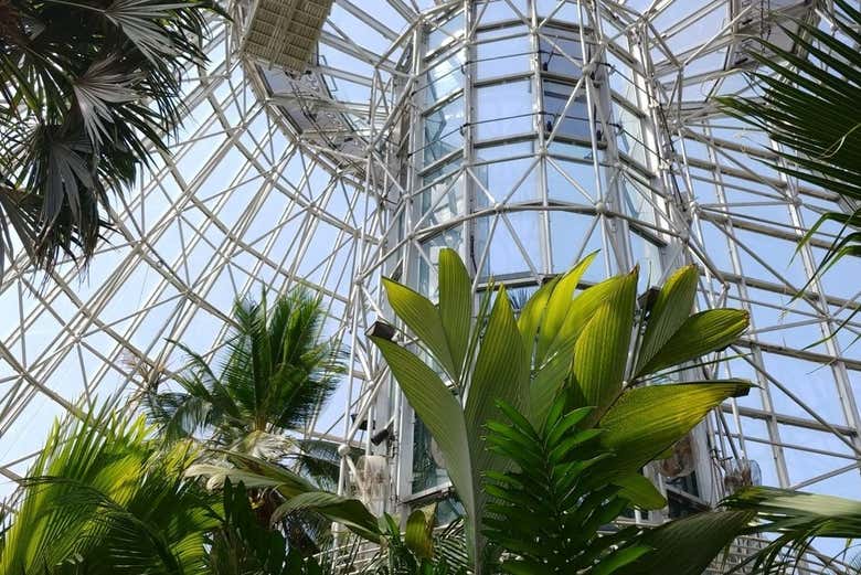San Antonio Botanical Garden