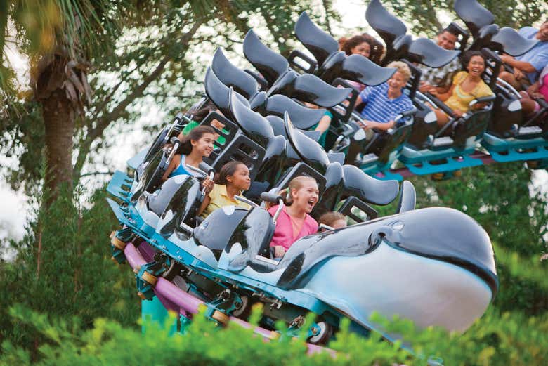A bordo del Shamu Express