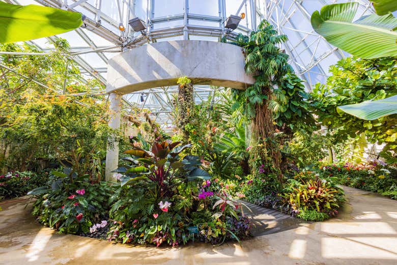 Take a moment to enjoy the Botanical Gardens